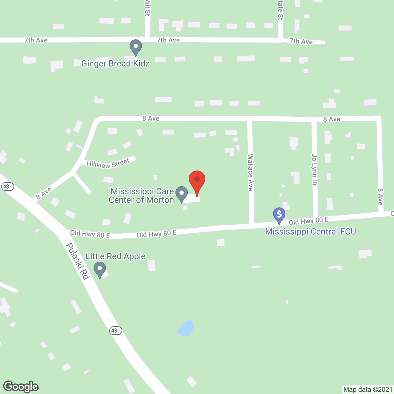 Ms Care Center Of Morton in google map