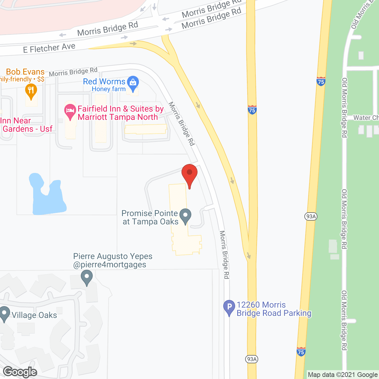 Promise Pointe at Tampa Oaks in google map