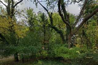 street view of Treetop Adult Care