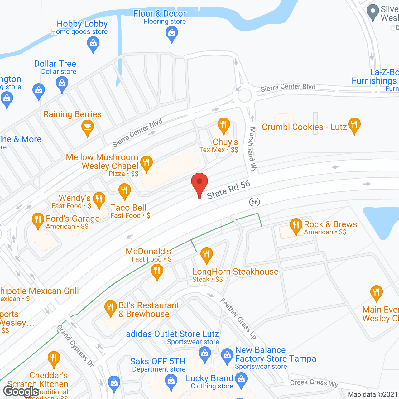 North Tampa Treatment Center For Older Adults in google map