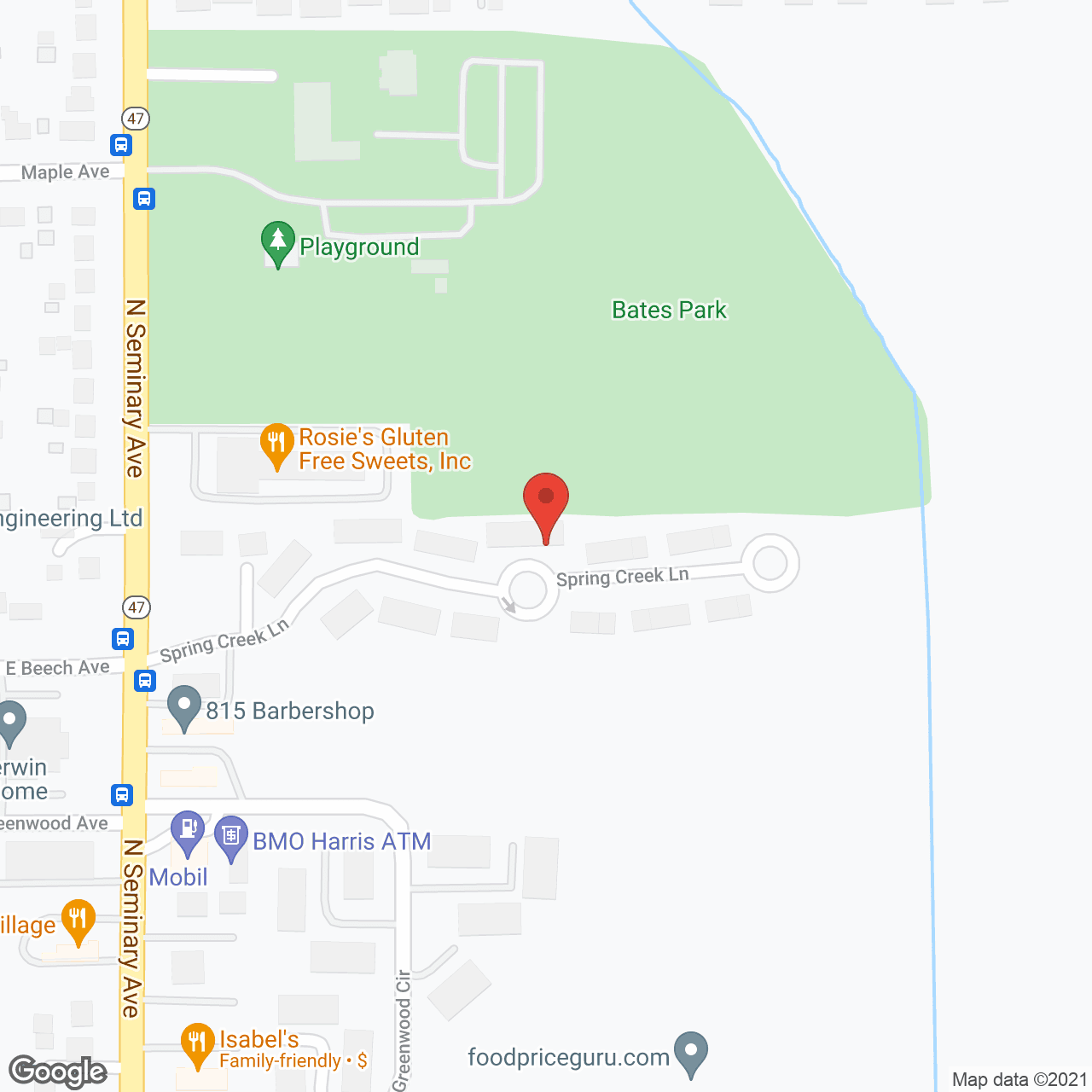 Woodstock Senior Lane in google map