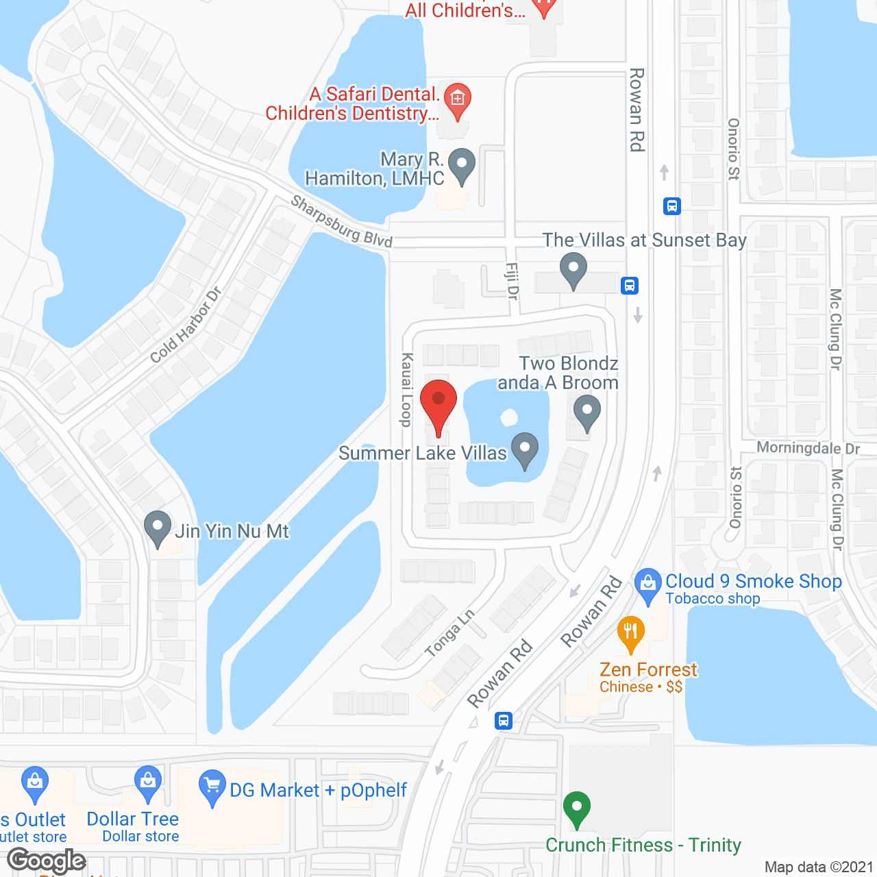 Elevated Estates of New Port Richey in google map