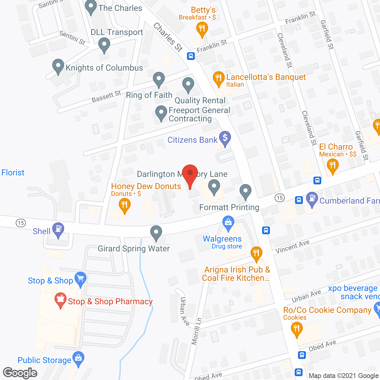 Darlington Memory Lane in google map