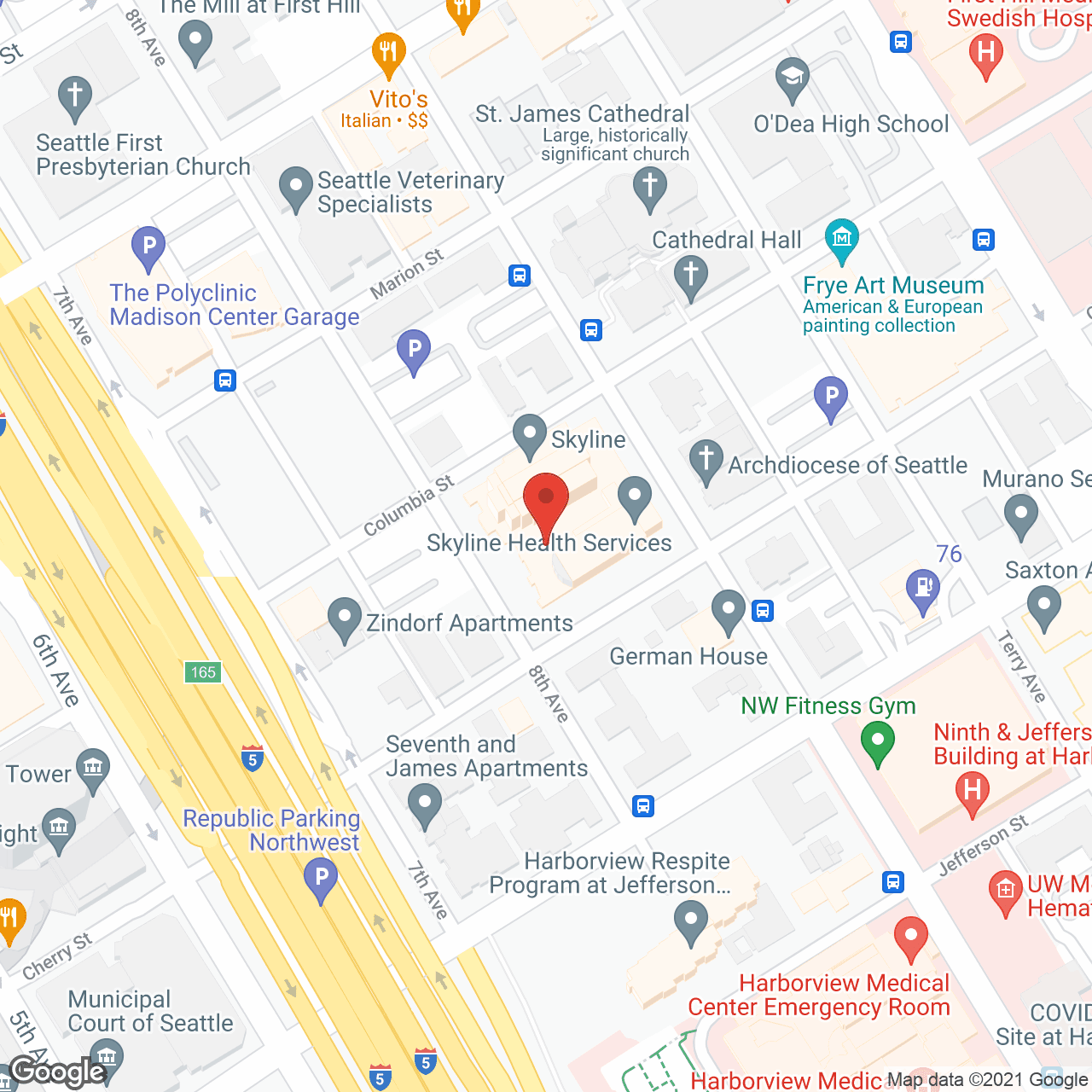 Skyline Health Services in google map