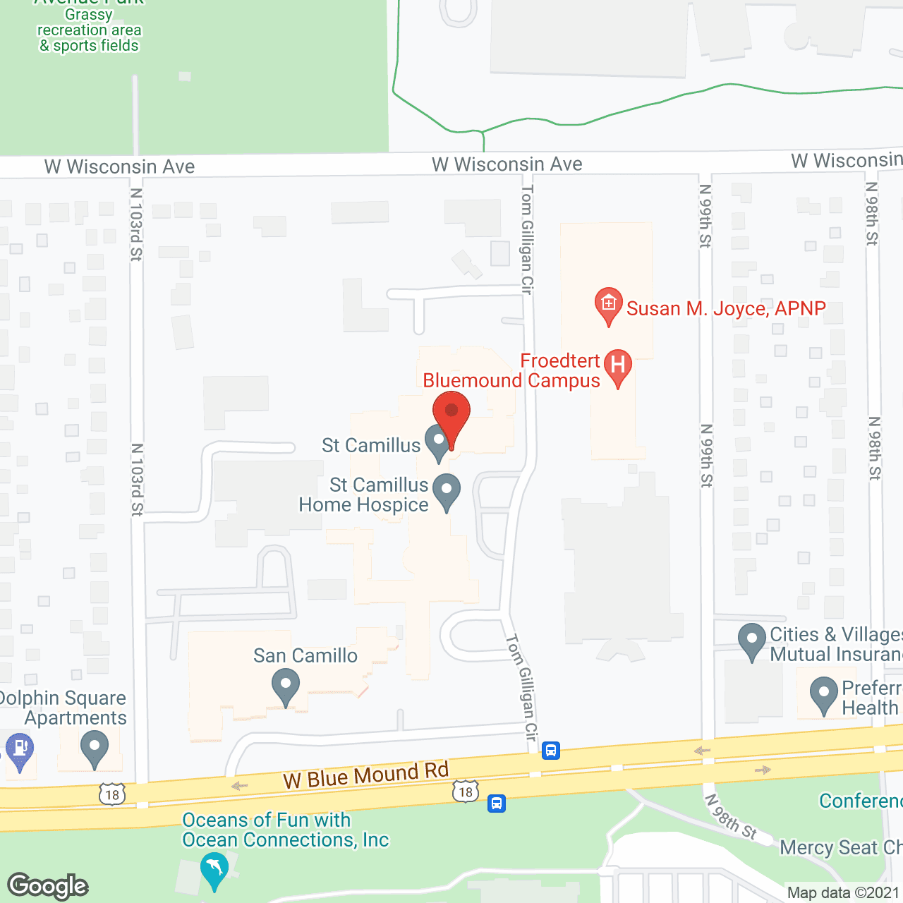 St Camillus in google map