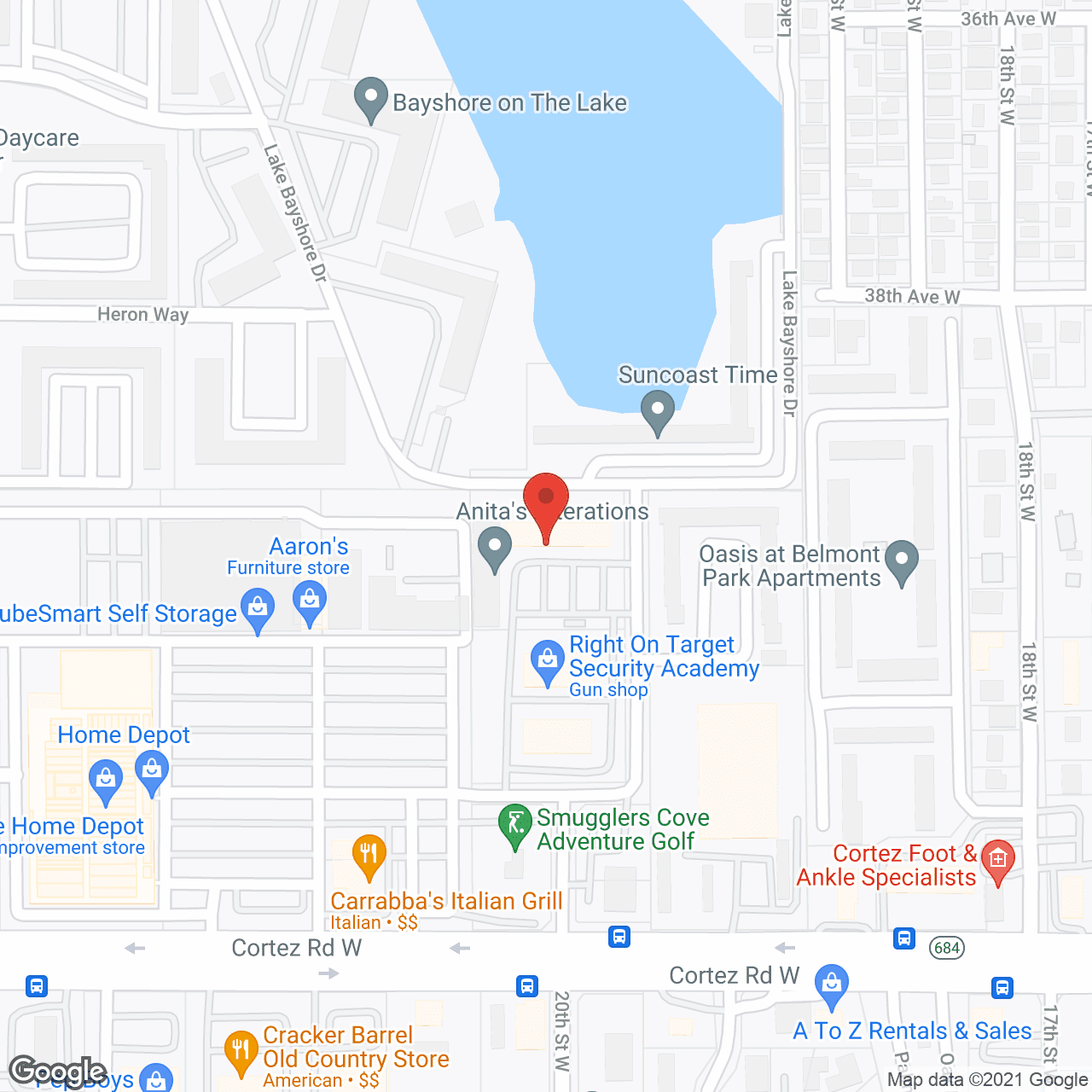 Baycare Home Care in google map