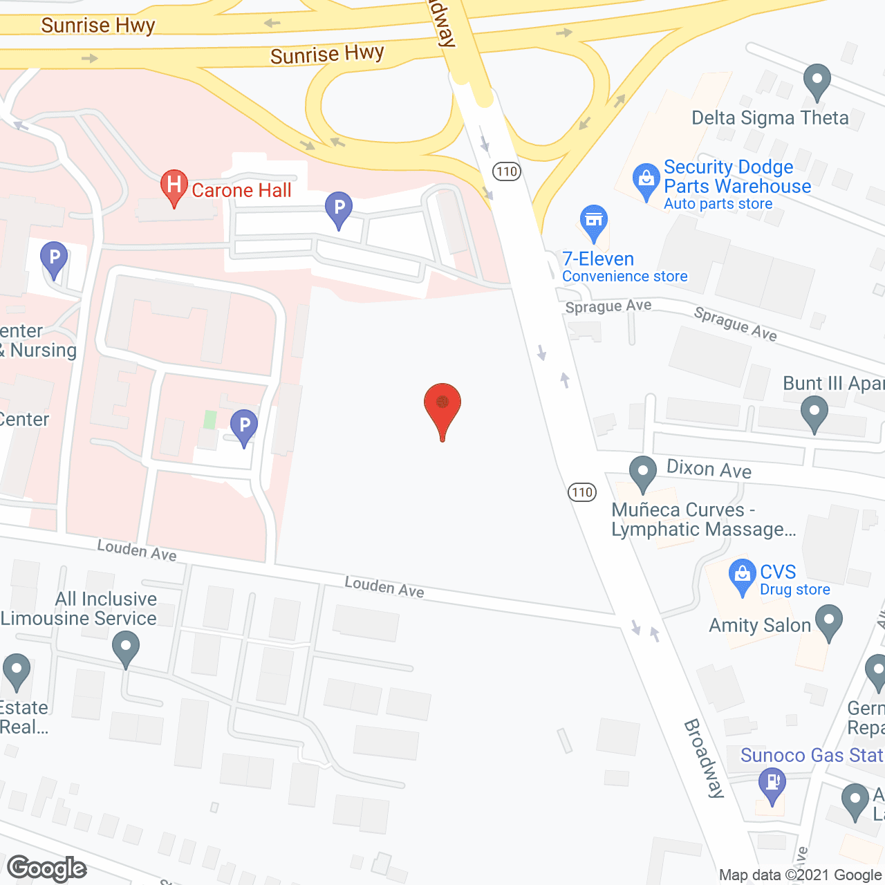 Brunswick Hospital Ctr Inc in google map