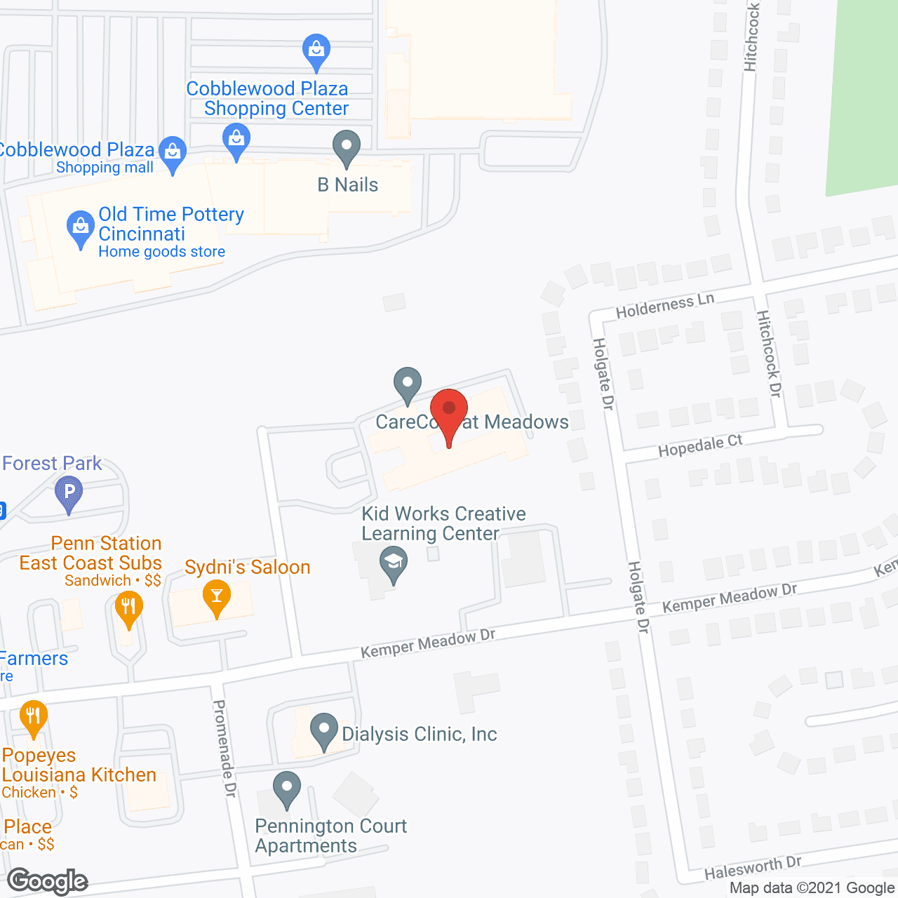 Meadows Health Care Center in google map