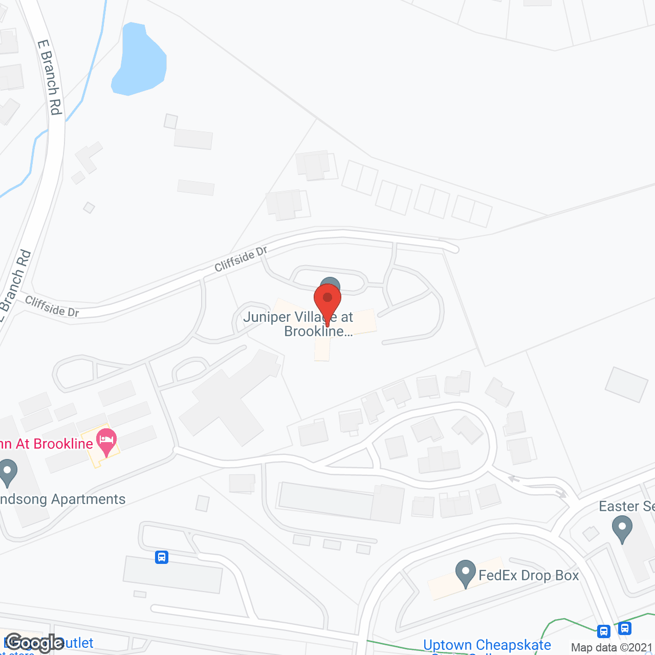 Brookline Village-The Fairways in google map