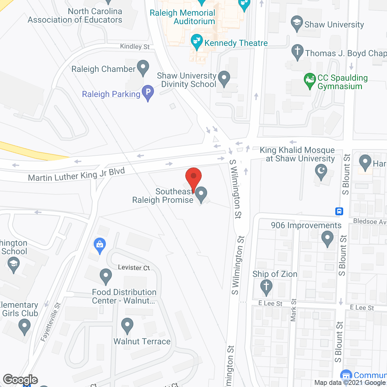 Ideal Healthcare Services in google map