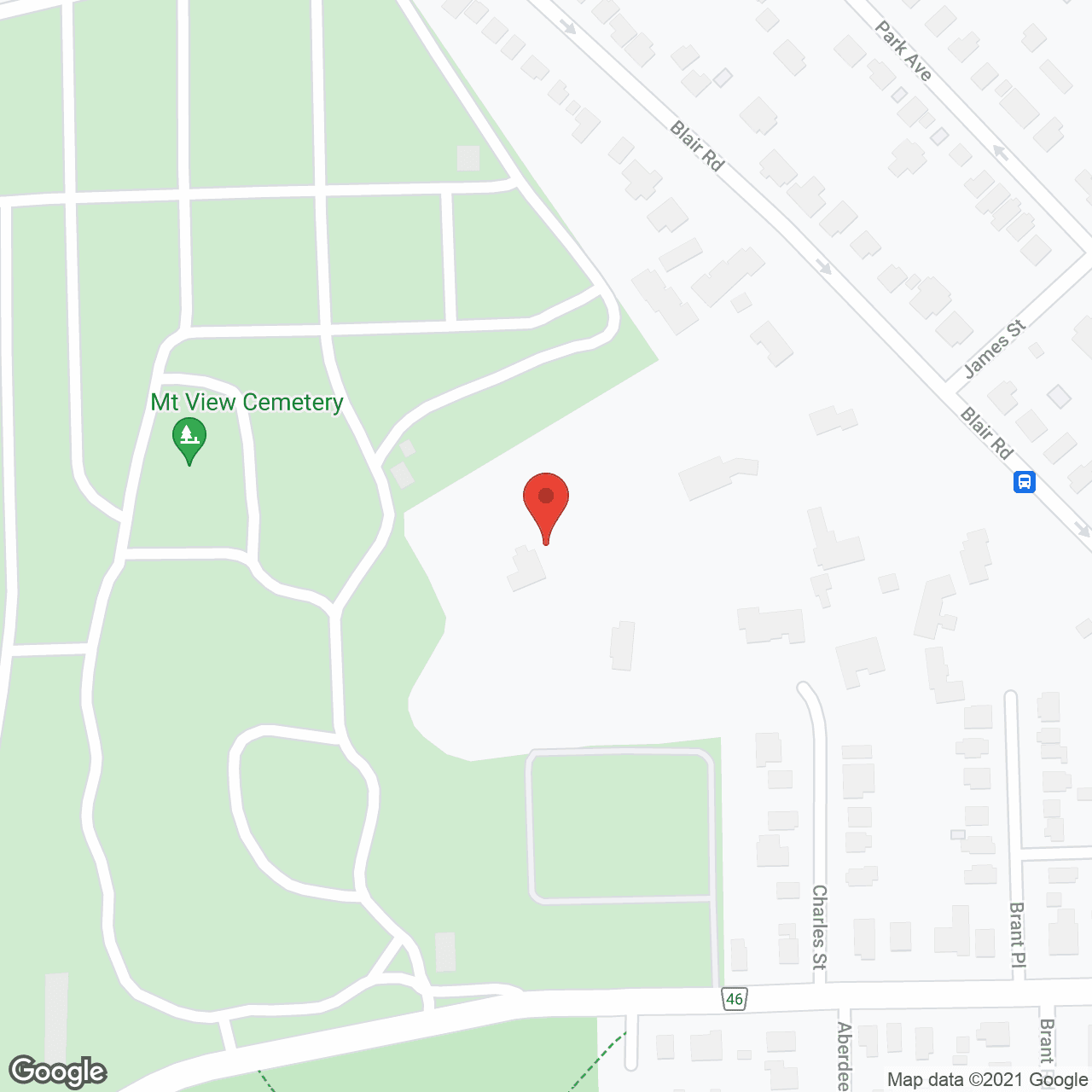 Timok Consulting Inc. in google map