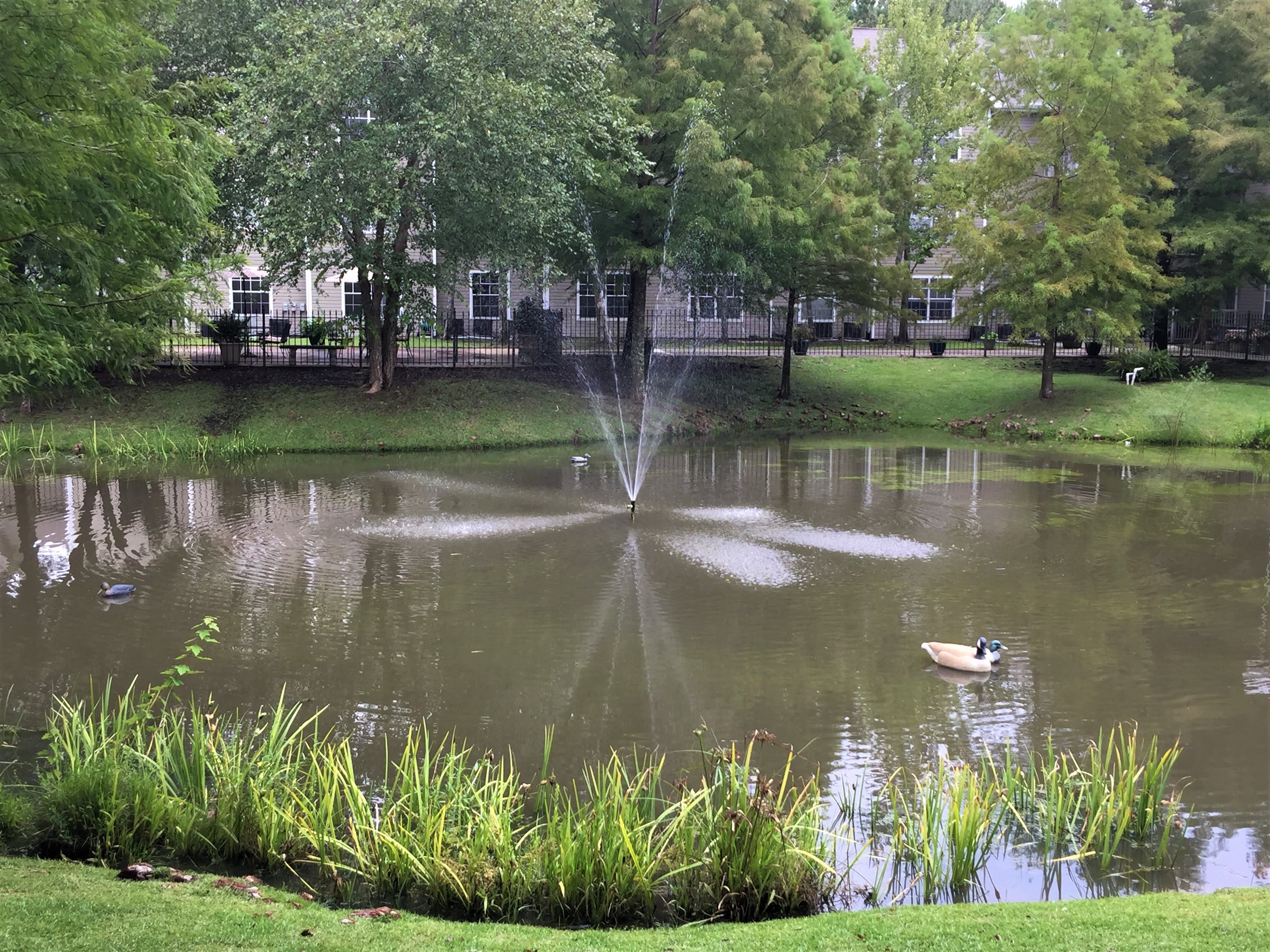 The Windsor Senior Living Community | Assisted Living | Mandeville, LA 