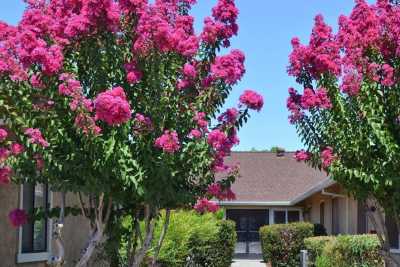 Photo of Red Bluff Senior Living