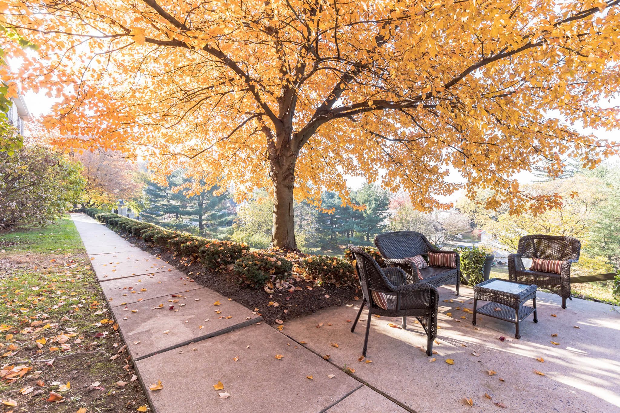 Rittenhouse Village At Muhlenberg outdoor common area