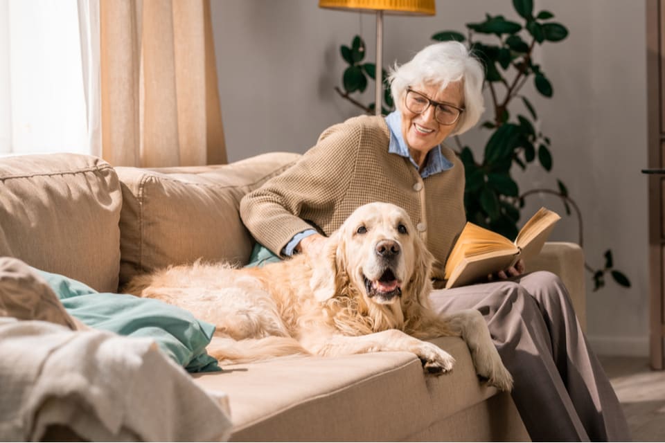 Senior Apartments In Encinitas