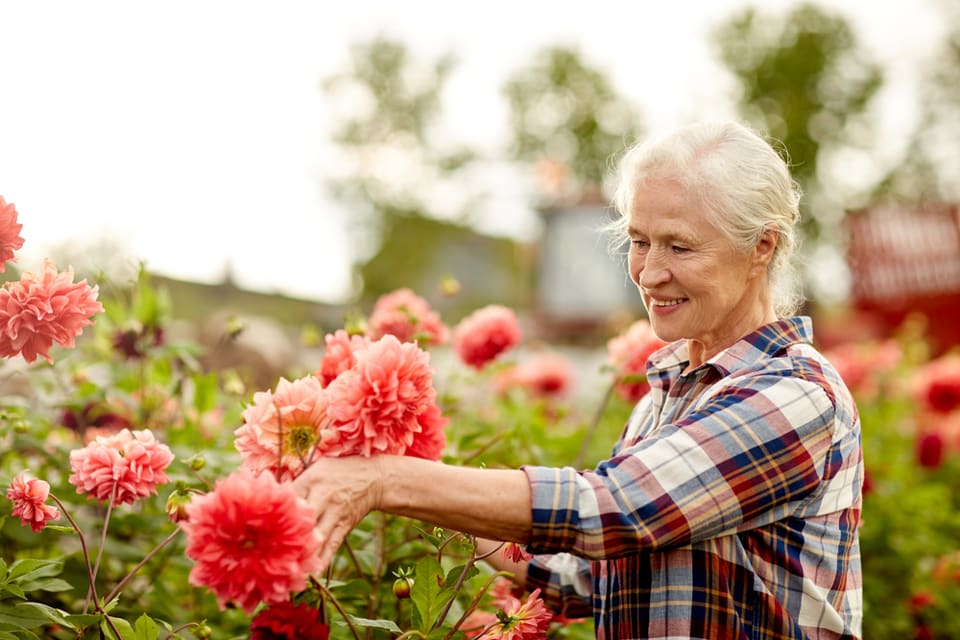 Gardening is one way memory care helps aggressive patients.