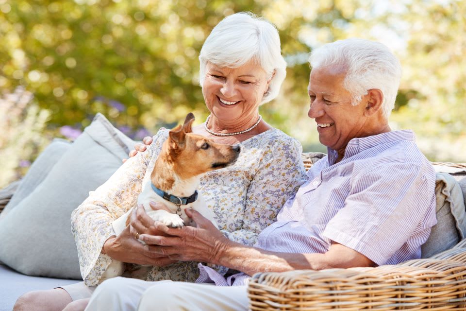 An older couple sitting side by side petting a small brown & white dog.