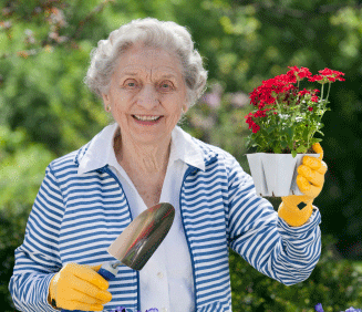 active senior citizen gardening