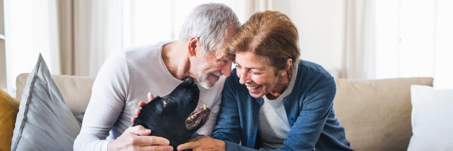 Senior couple petting dog together