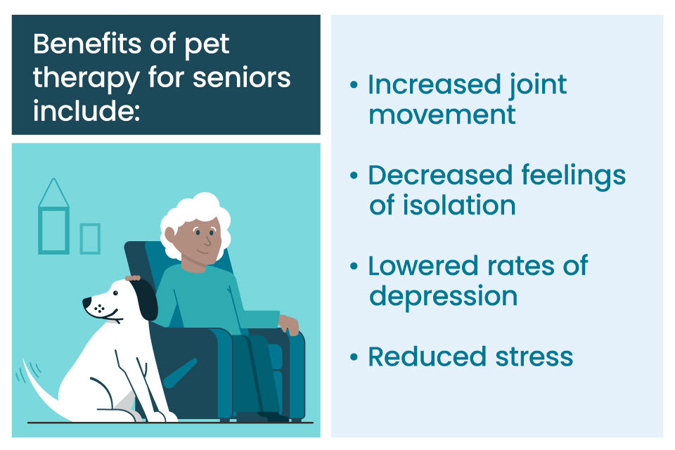 A graphic detailing some benefits of pet therapy, including reduced stress and increased joint movement