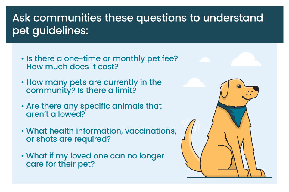 A graphic summarizing questions to ask assisted living facilities regarding their pet guidelines