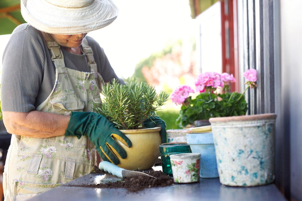 A senior woman wearing gloves and a hat arranges soil in a plant pot.