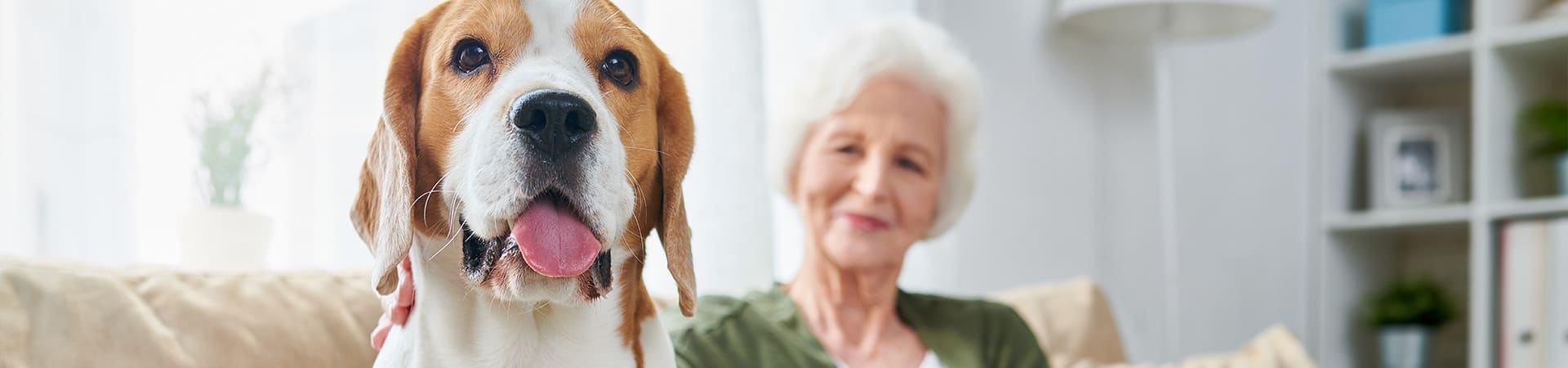 A senior woman sitting on a couch with a dog